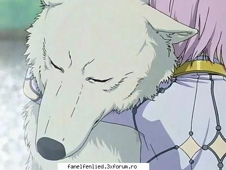 top 5 animeuri pref!!!!^_^ - poi 1.elfen lied 2.bleach 3.wolf rain 4.naruto - descriere personala